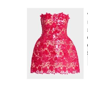 Floral Pink Lace Skirt